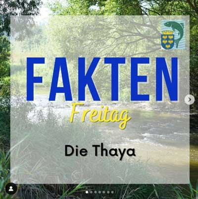 Fakten: Die Thaya